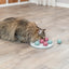Trixie Cat Activity Solitaire