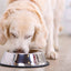 Happy Pet Voerbak Antislip