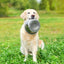 Happy Pet Voerbak Rvs