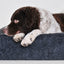 Bia Bed Fleece Hoes Hondenmand Grijs