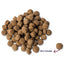 Renske Super Premium Adult Oceaanvis Hypoallergeen