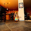 Chuckit Indoor Ball