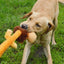 Happy Pet Wild Crinkler Leeuw