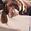 Bia Bed Outdoor Hoes Hondenmand Taupe