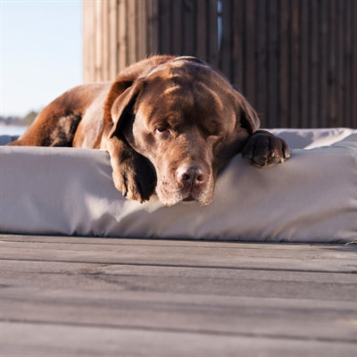 Bia Bed Outdoor Hoes Hondenmand Taupe