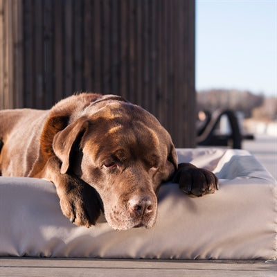 Bia Bed Outdoor Hoes Hondenmand Taupe