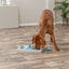 Trixie Dog Activity Chess Hondenspel
