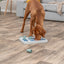 Trixie Dog Activity Chess Hondenspel