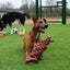 Happy Pet Nuts For Knots Extreme Spoel 8 Vorm Tugger Grijs / Oranje
