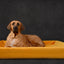 Bia Bed Royal Fluweel Hoes Voor Hondenmand Oker