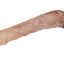Petsnack Reeenpoot Met Haar