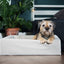 Bia Bed Cotton Hoes Hondenmand Zand