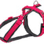 Trixie Hondentuig Premium Trekking Fuchsia / Grijs