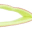 Trixie Bungee Tugger Met Ring Assorti