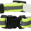 Trixie Junior Halsband Kat Kitten Reflecterend Assorti