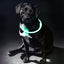 Trixie Lichtgevende Halsband Usb Flash Light Oplaadbaar Tpu Groen