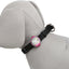 Trixie Usb Flasher Assorti