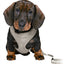Trixie Junior Puppytuig Soft Met Riem Lichtgrijs