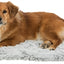 Trixie Ligmat Harvey Wit / Grijs