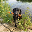Chuckit Ultra Fetch Stick