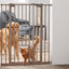 Savic Dog Barrier Afsluithek Met Kleine Deur Grijs