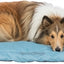 Trixie Reisdeken Samoa Classic Beige / Olijfgroen