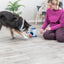Trixie Dog Activity Strategiespel Ball&Treat Lichtgrijs / Blauw