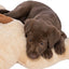 Trixie Knuffel Hondbenny Pluche Beige / Bruin