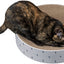 Trixie Krabmand Lilly Karton Catnip Lichtgrijs