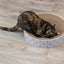Trixie Krabmand Lilly Karton Catnip Lichtgrijs
