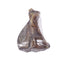 Petsnack Varkensschouderblad