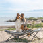 Trixie Stretcher Voor Hond Donkergrijs / Zwart