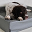 Bia Bed Kunstleer Hoes Hondenmand Grijs