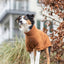 Trixie Citystyle Hondentrui Sweatshirt Amsterdam Roest