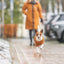 Trixie Citystyle Hondentrui Berlin Roest