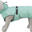 Trixie Citystyle Be Eco Hondenjas Oslo Gerecycled Jade Groen
