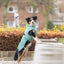 Trixie Citystyle Be Eco Hondenjas Oslo Gerecycled Jade Groen