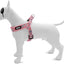 Morso Mini Hondentuig Verstelbaar Gerecycled Sweet Tweet Roze