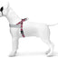 Morso Norwegian Hondentuig Gerecycled Skyline Rood / Roze