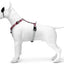 Morso Hondentuig H-Tuig Gerecycled Skyline Rood / Roze
