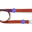 Morso Hondenriem Gerecycled Urban Lizard Rood