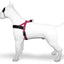 Morso Norwegian Hondentuig Gerecycled Bubble Leo Roze