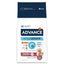 Advance Maxi Senior