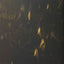 Savic Kattenbak Hop In Marble Zwart / Goud