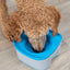 Trixie Drinkbak Reisbak Strong Donkergrijs / Petrol