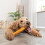 Trixie Denta Fun Roll Van Collageen Met Kip