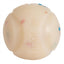 Chuckit Birthday Ball Met Vanillegeur