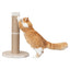 Trixie Krabpaal Rue Xxl Beige