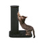 Zolux Krabpaal City Cat 1 Grijs
