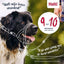 The Company Of Animals Company Of Animals Halti Headcollar Zwart